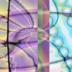 abstract 1993
