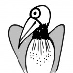 sweater bird
